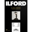 Ilford Galerie Gold Fibre Pearl 290gsm Sheet